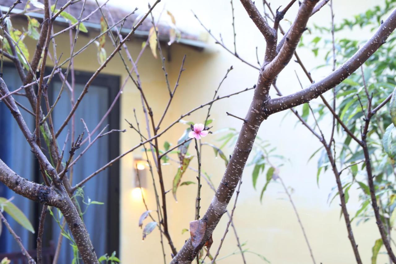 L'Amant Homestay Da Lat Eksteriør billede