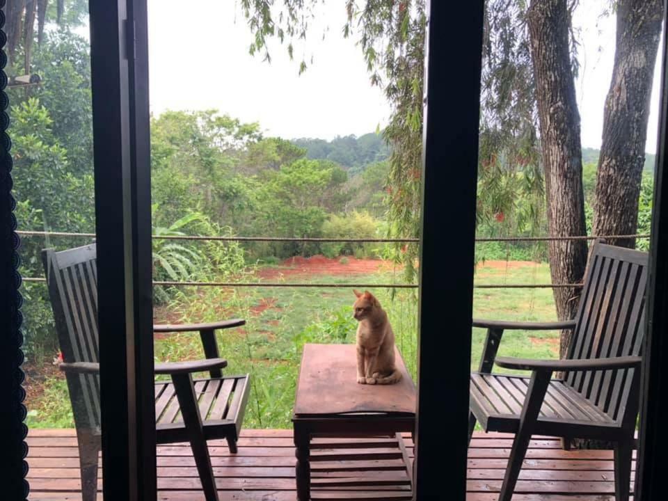 L'Amant Homestay Da Lat Eksteriør billede